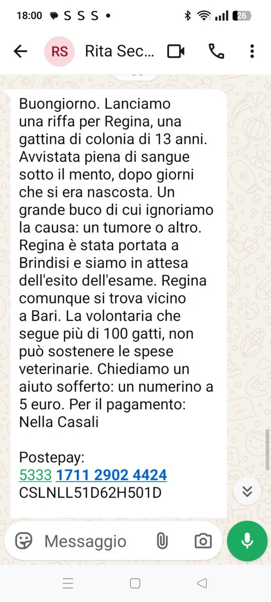 Emilystellaemi2's tweet photo. UN AIUTO PER CURARE QUESTA GATTINA, HA 13 ANNI,REGINA È STATA PORTATA A BRINDISI E SIAMO IN ATTESA  
DELL'ESITO DEGLI ESAMI.❤️🙏❤️❤️
whatsapp 349 649 7019
Grazie ❤️❤️❤️❤️ https://t.co/vOzhWCJzzG
