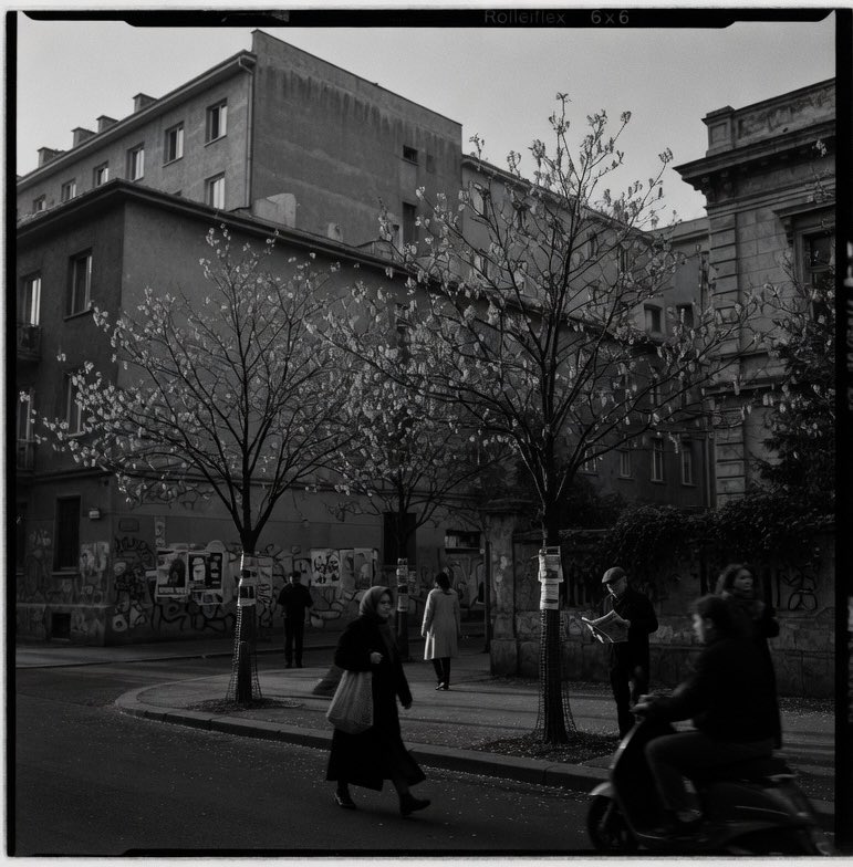 OlivierJules's tweet image. #filmisnotdead