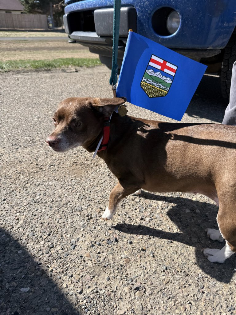 Sandra G tweet media