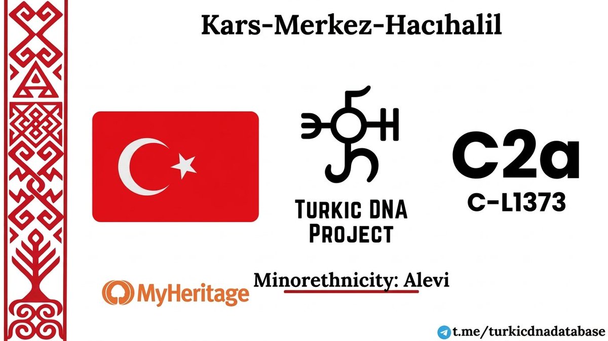 Turkic DNA Project tweet media