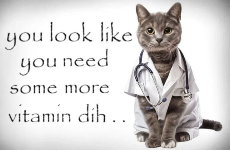 noah (@noahsderp) on Twitter photo 