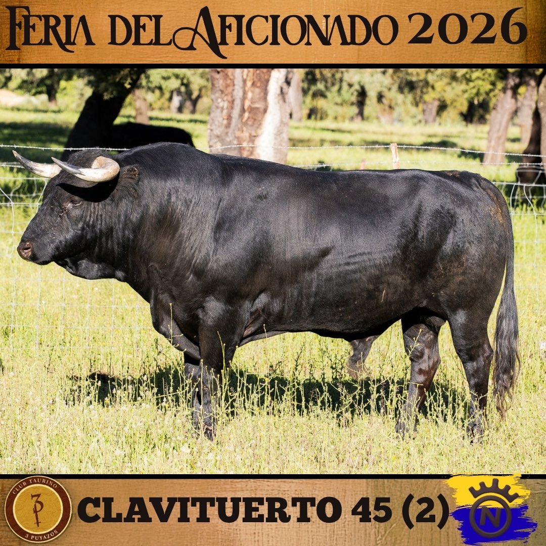 3puyazos's tweet photo. 🐂Toros FDA 2026

🟡🔵 Dolores Aguirre

Horario taquilla de la plaza de toros

•Viernes 24
De 12:00 a 14:00 y de 16:30 a 20:00
•Sábado 25:
De 10:00 a 12:00 y de 16:00 a 18:00
•Domingo 26:
De 10:00 a 12:00

 🗓️25 y 26 de abril
📍 San Agustín del Guadalix

🟤🟡3Puyazos🟡🟤 https://t.co/63zq6SaxN3
