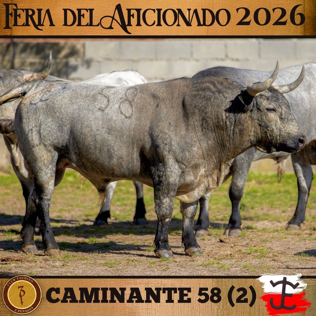 3puyazos's tweet photo. 🐂Toros FDA 2026

⚪️🔴 José Escolar 

Horario taquilla de la plaza de toros

•Viernes 24
De 12:00 a 14:00 y de 16:30 a 20:00
•Sábado 25:
De 10:00 a 12:00 y de 16:00 a 18:00
•Domingo 26:
De 10:00 a 12:00

 🗓️25 y 26 de abril
📍 San Agustín del Guadalix

🟤🟡3Puyazos🟡🟤 https://t.co/BdYCG06KqU