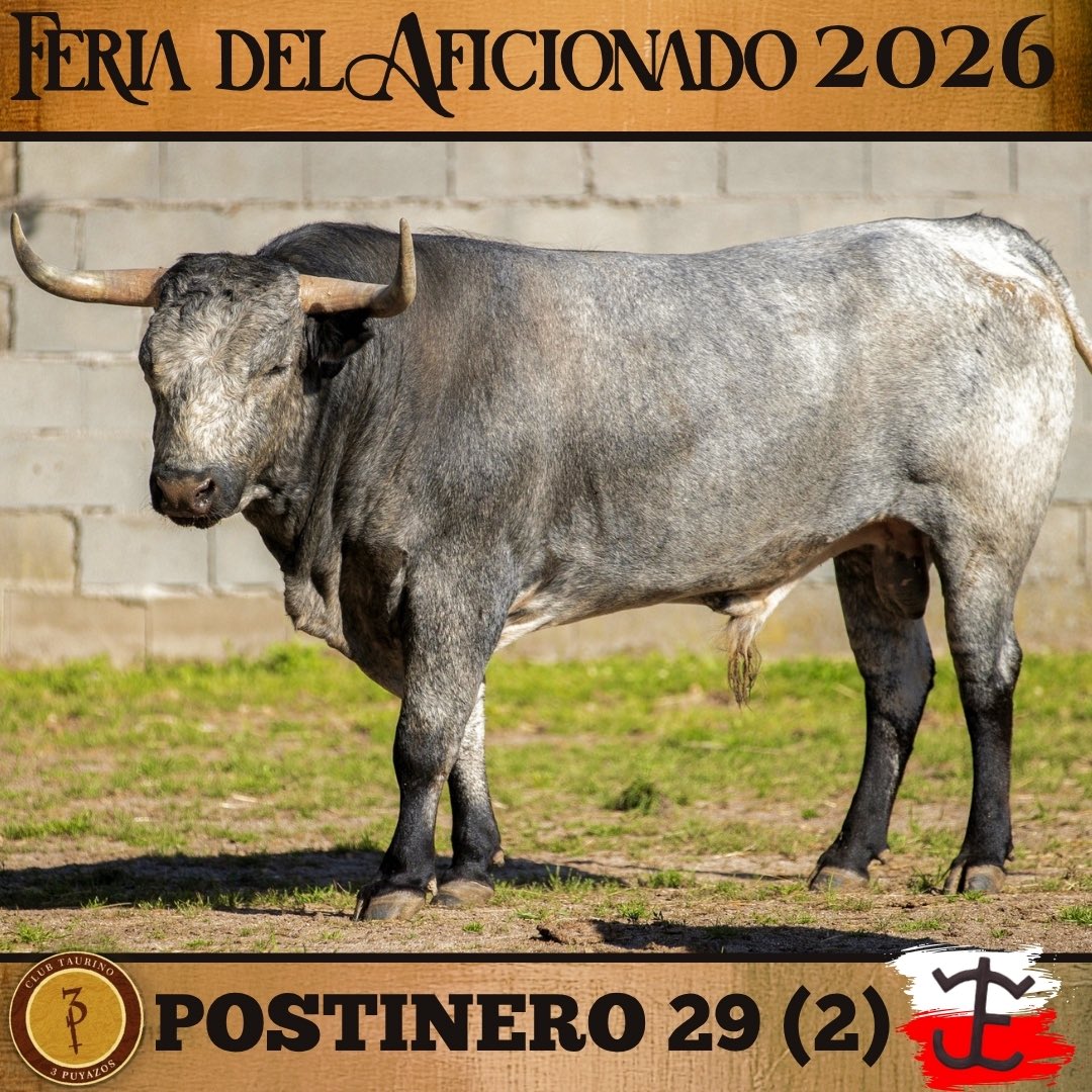 3puyazos's tweet photo. 🐂Toros FDA 2026

⚪️🔴 José Escolar 

Horario taquilla de la plaza de toros

•Viernes 24
De 12:00 a 14:00 y de 16:30 a 20:00
•Sábado 25:
De 10:00 a 12:00 y de 16:00 a 18:00
•Domingo 26:
De 10:00 a 12:00

 🗓️25 y 26 de abril
📍 San Agustín del Guadalix

🟤🟡3Puyazos🟡🟤 https://t.co/BdYCG06KqU