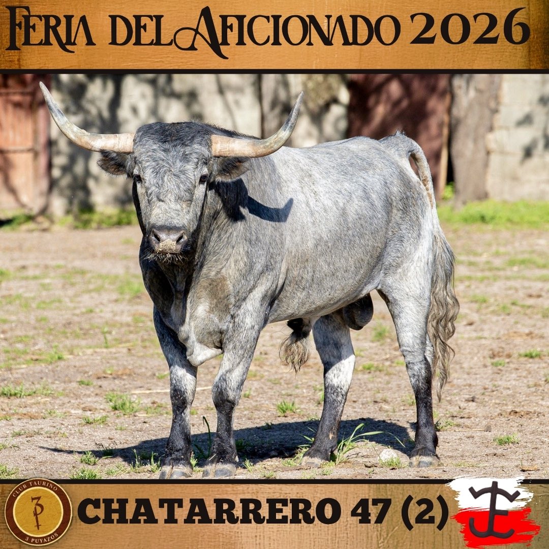 3puyazos's tweet photo. 🐂Toros FDA 2026

⚪️🔴 José Escolar 

Horario taquilla de la plaza de toros

•Viernes 24
De 12:00 a 14:00 y de 16:30 a 20:00
•Sábado 25:
De 10:00 a 12:00 y de 16:00 a 18:00
•Domingo 26:
De 10:00 a 12:00

 🗓️25 y 26 de abril
📍 San Agustín del Guadalix

🟤🟡3Puyazos🟡🟤 https://t.co/BdYCG06KqU