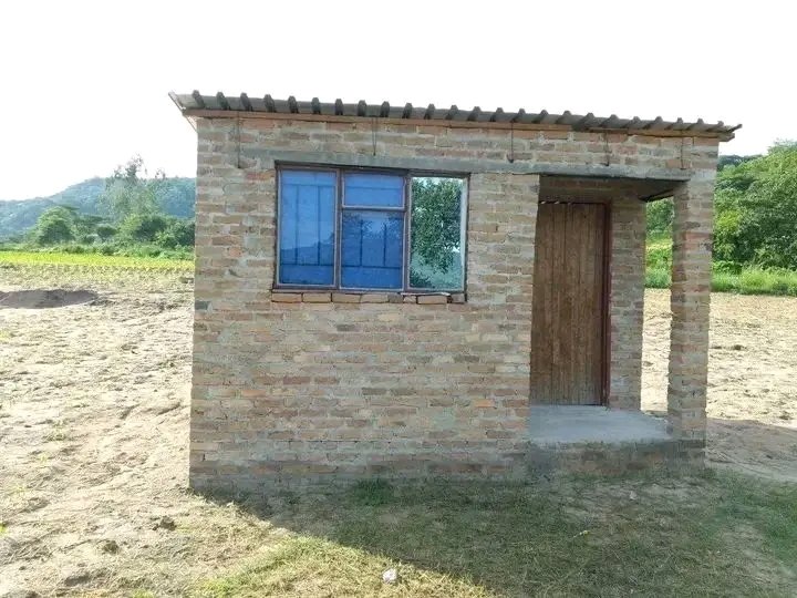 Zoey Chiks tweet media