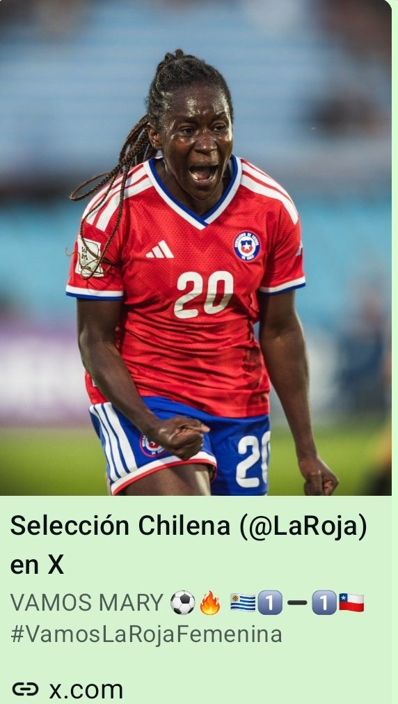 Leonardo P tweet media