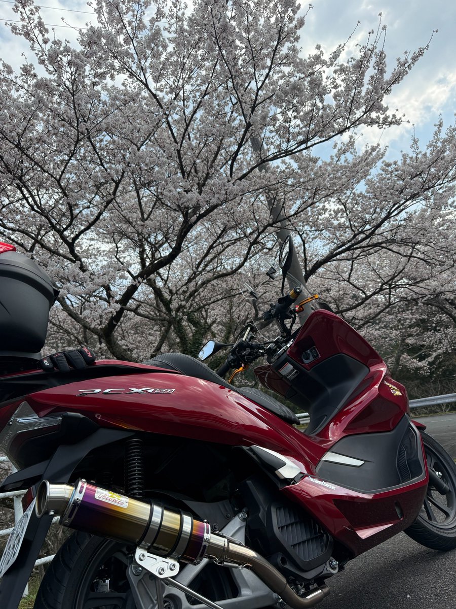 まったりおじさんの徒然日記 tweet media