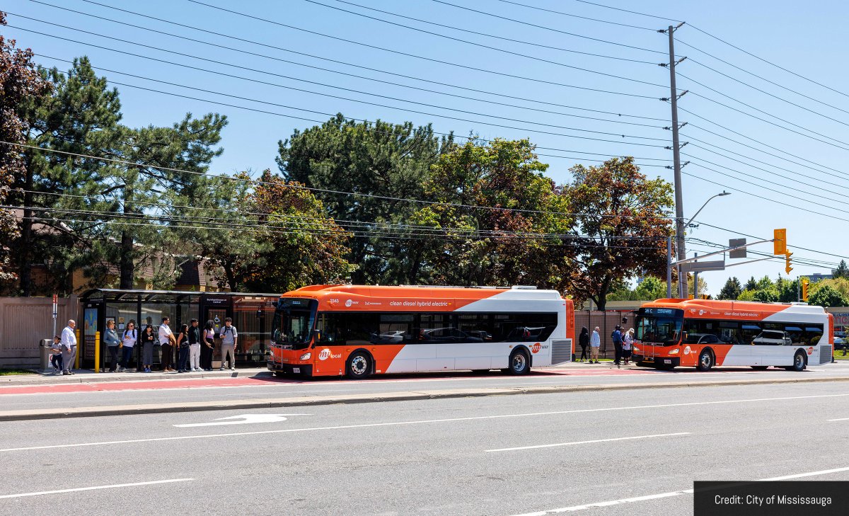 HICC_ca's tweet image. Two new investments in #PublicTransit #infra in #Mississauga #ON will make getting around the city safer and more reliable for everyone.

Learn more: canada.ca/en/housing-inf…