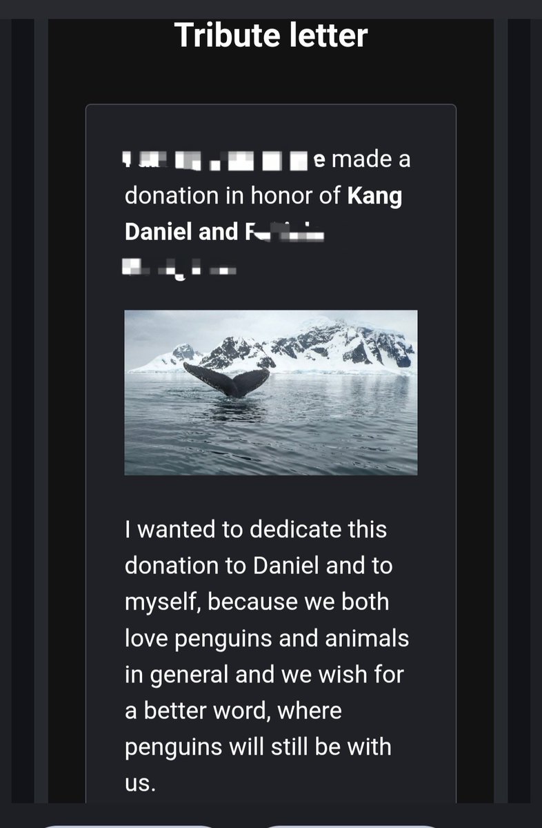 Junho The Penguin tweet media