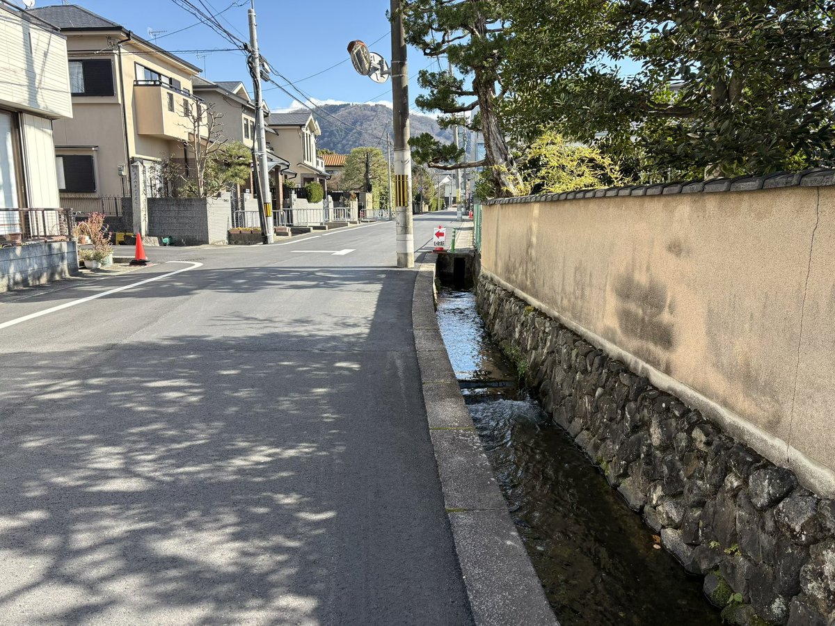 小拳头 tweet media