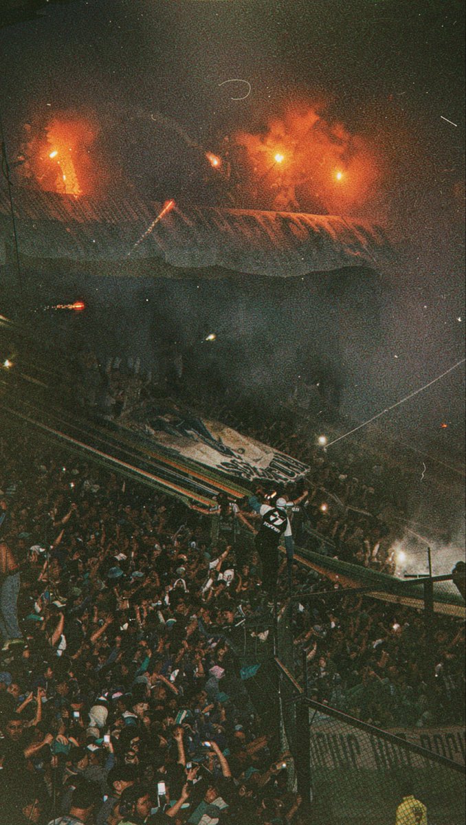 malenita tweet media