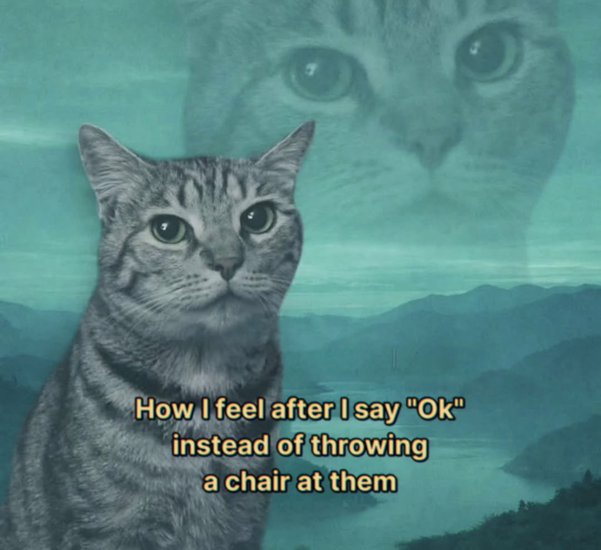 love drops tweet media