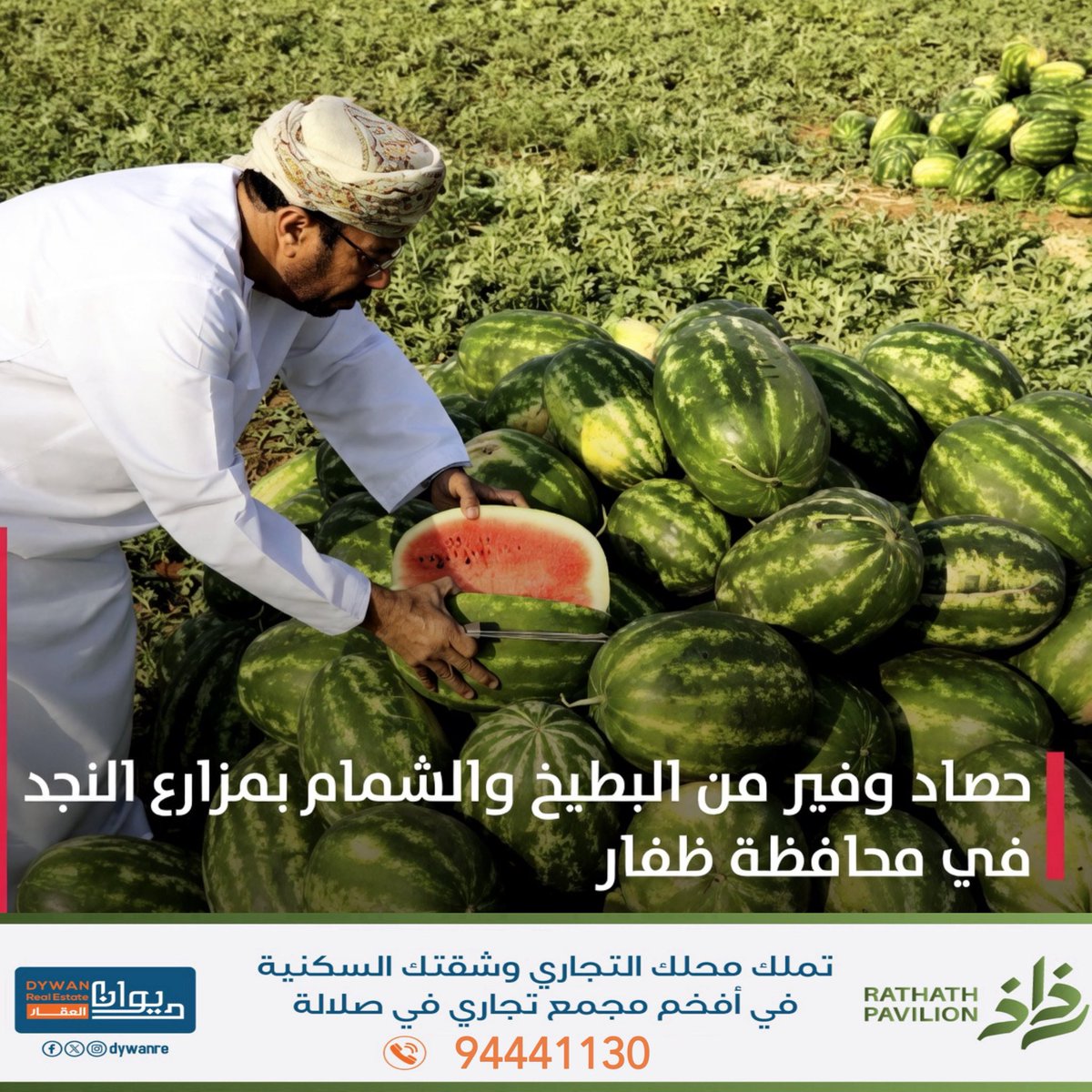الاقتصادية tweet media