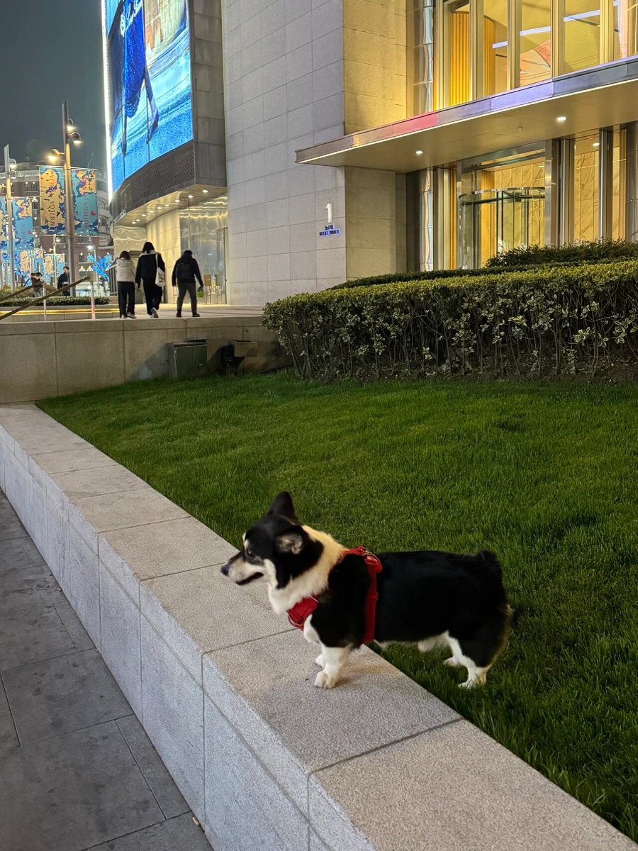 Ouattaro Honapedan J tweet media