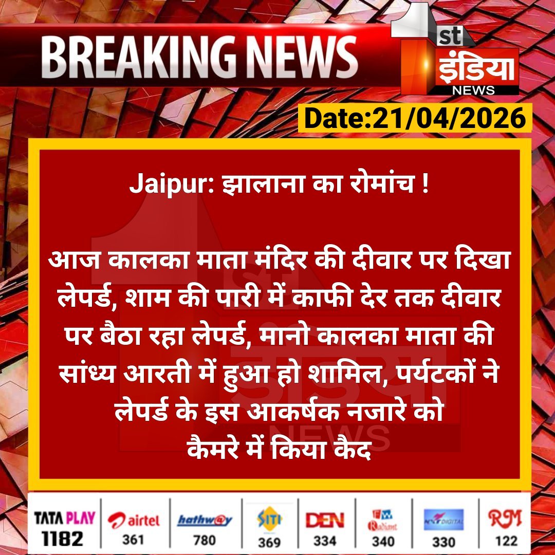 1stIndiaNews's tweet image. #Jaipur: झालाना का रोमांच !

आज कालका माता मंदिर की दीवार पर दिखा लेपर्ड, शाम की पारी में काफी देर तक दीवार पर बैठा रहा लेपर्ड.... 

#RajasthanWithFirstIndia #JaipurNews @RajGovOfficial @ForestRajasthan @Nirmaltiwaribki