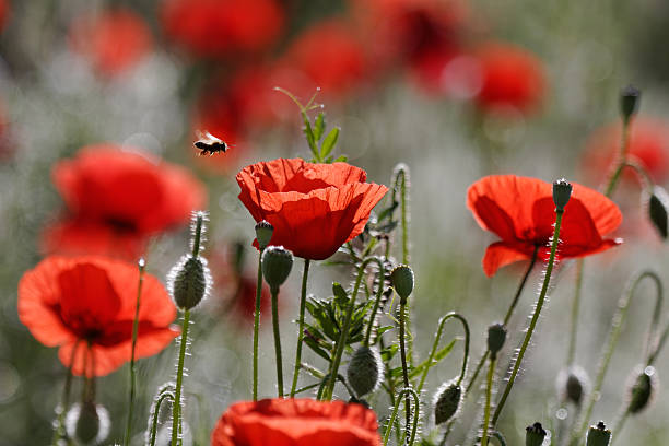 -`♡´- tweet media