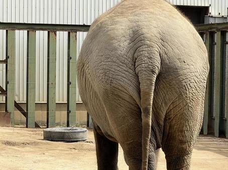 A Berkhouse tweet media