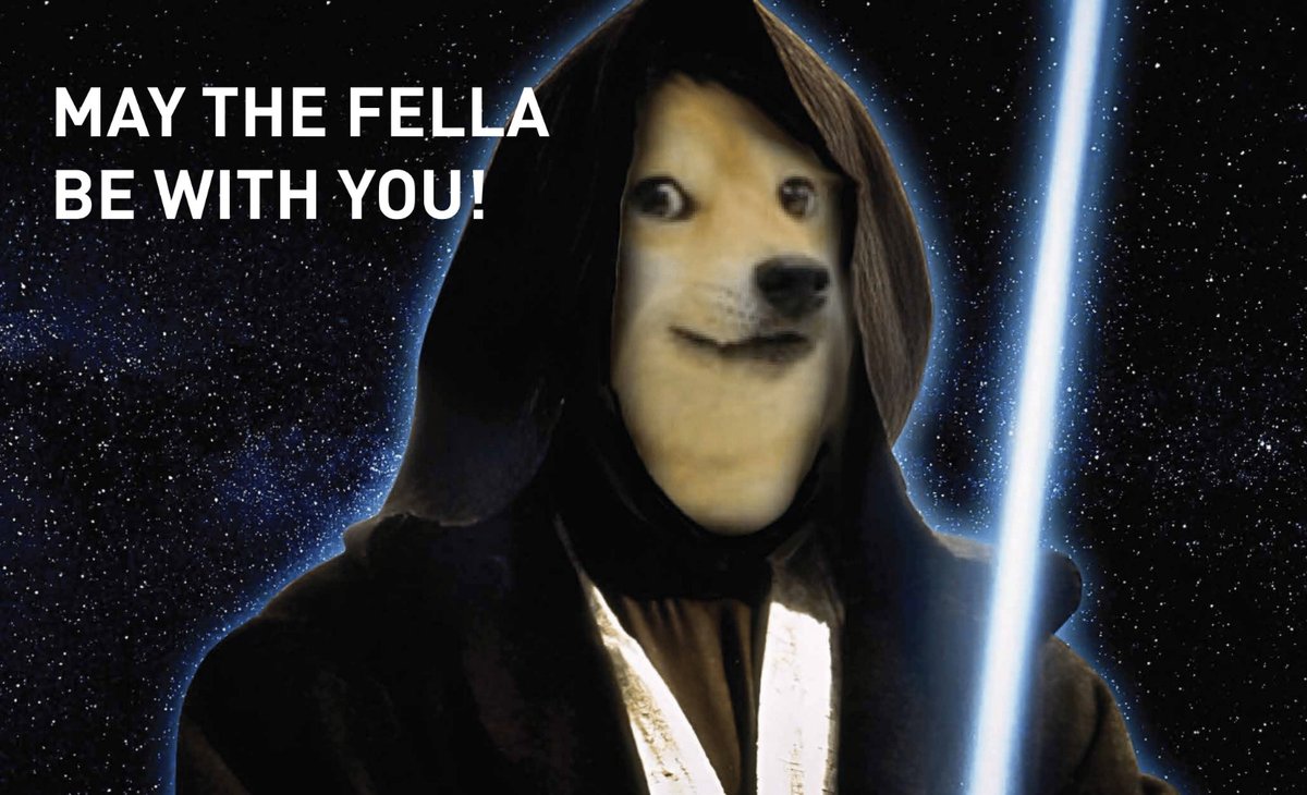 Feisty Robin Rembrandt fella tweet media