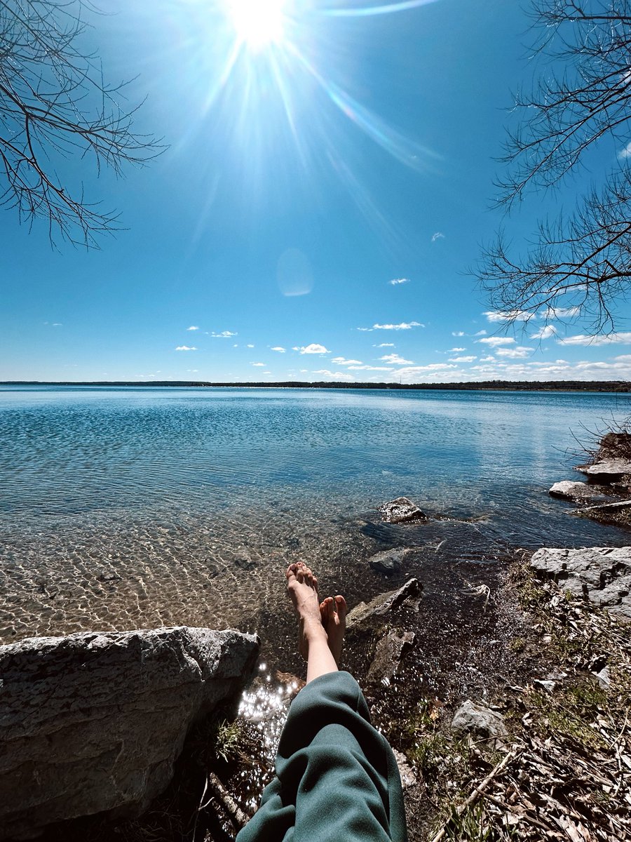 شپل معروف tweet media