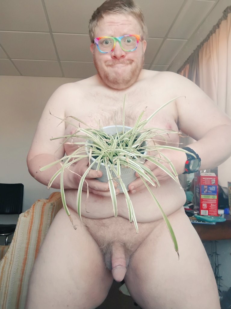 BearyNerdy17 tweet media