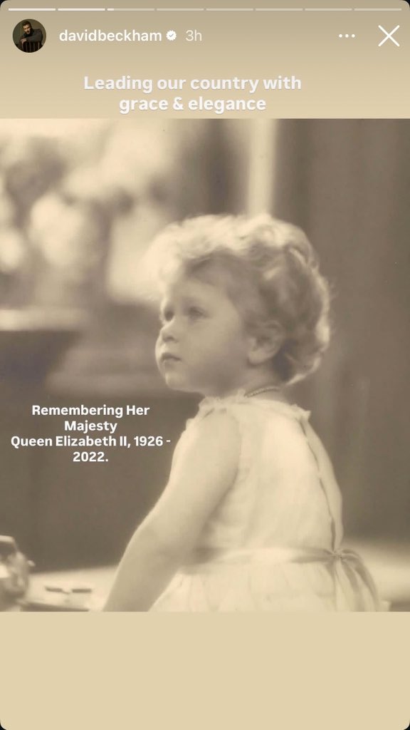 🌻Sarahsecret tweet media