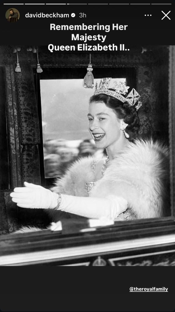 🌻Sarahsecret tweet media