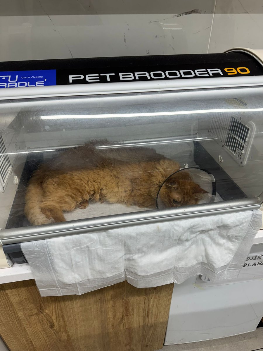 emoc🎗️ tweet media