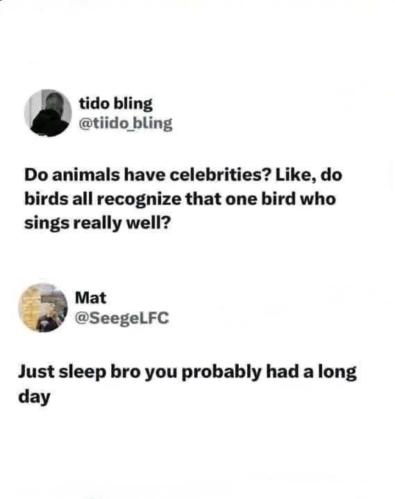 𝑴𝒊𝒓𝒆𝒙 tweet media