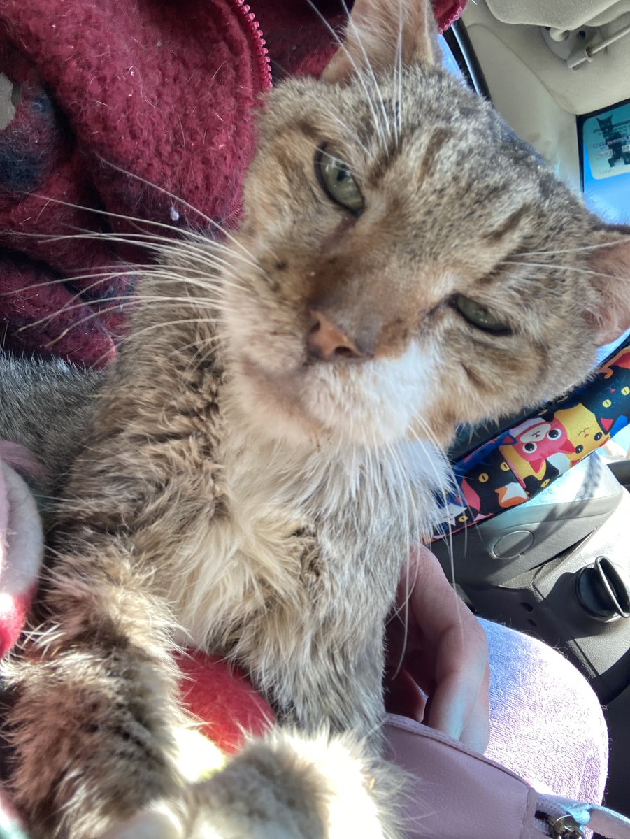 DeeMeow🐾 tweet media