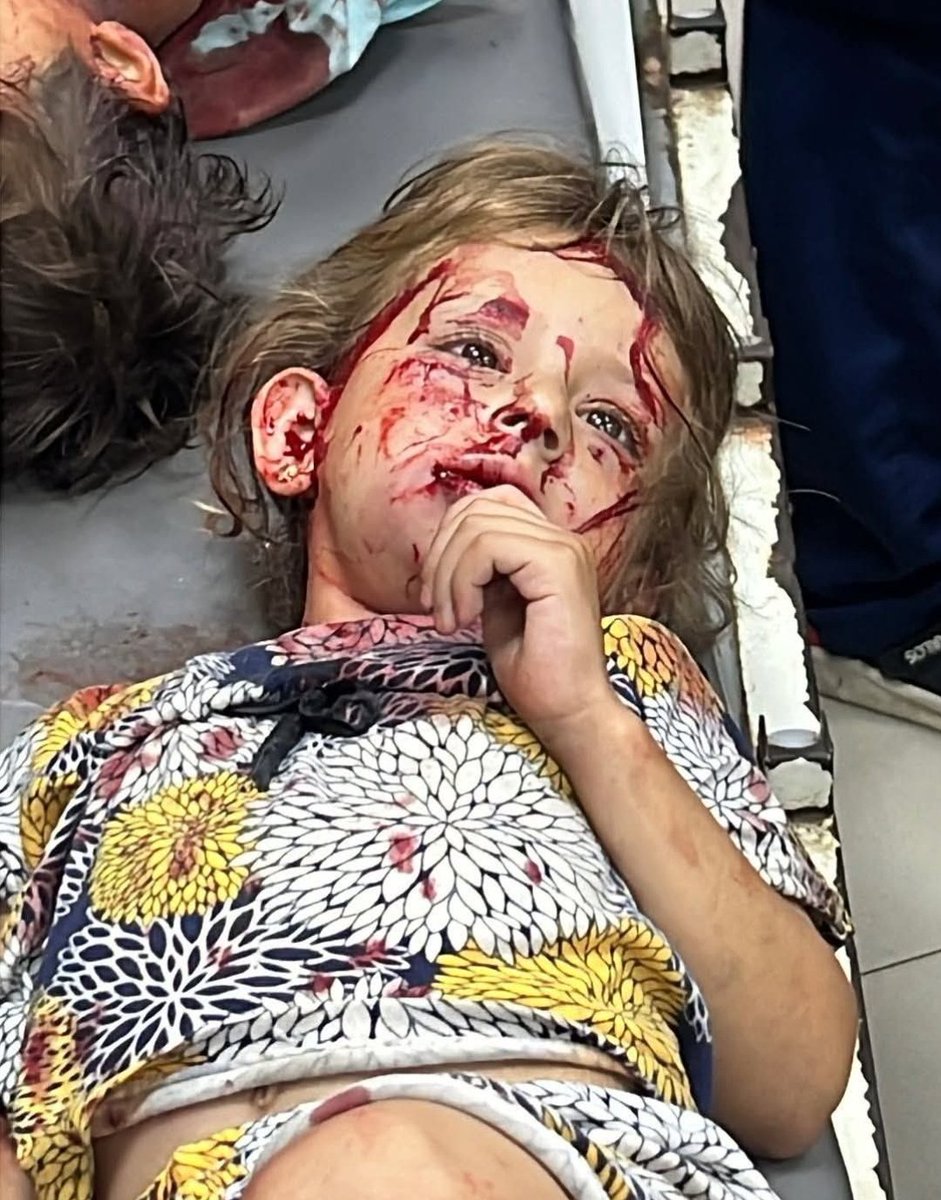 حليمة tweet media