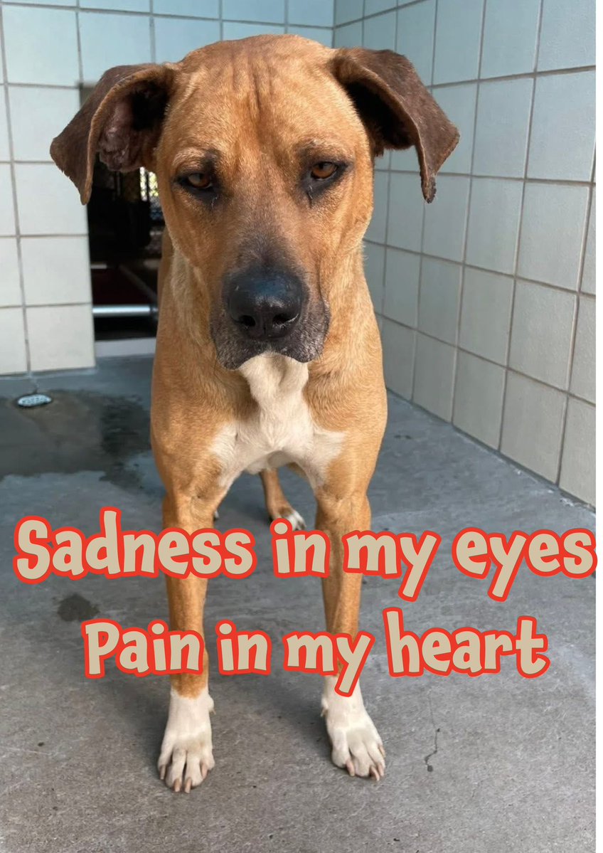 RoCo🇬🇧God Save The King🇬🇧 tweet media