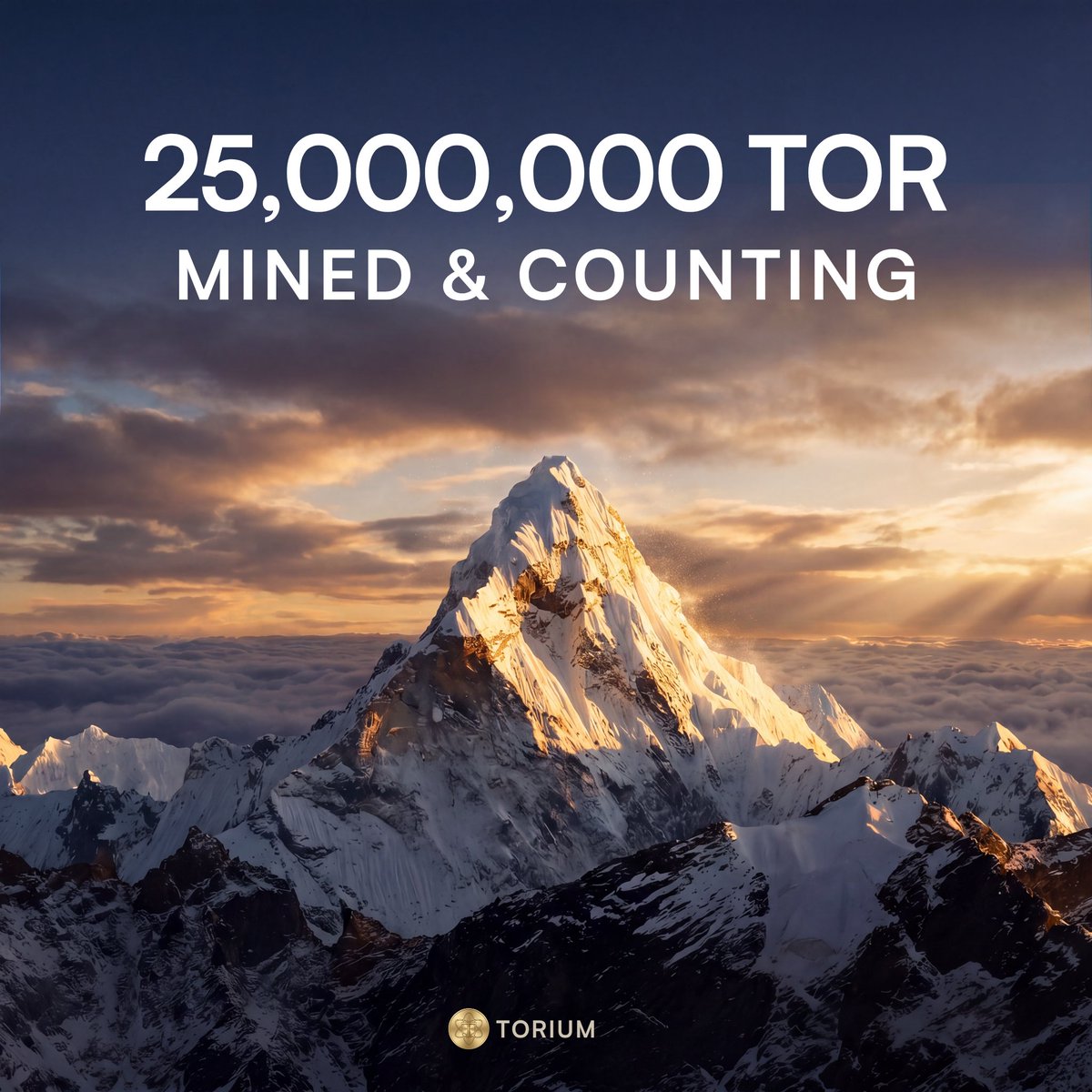 Torium Network tweet media