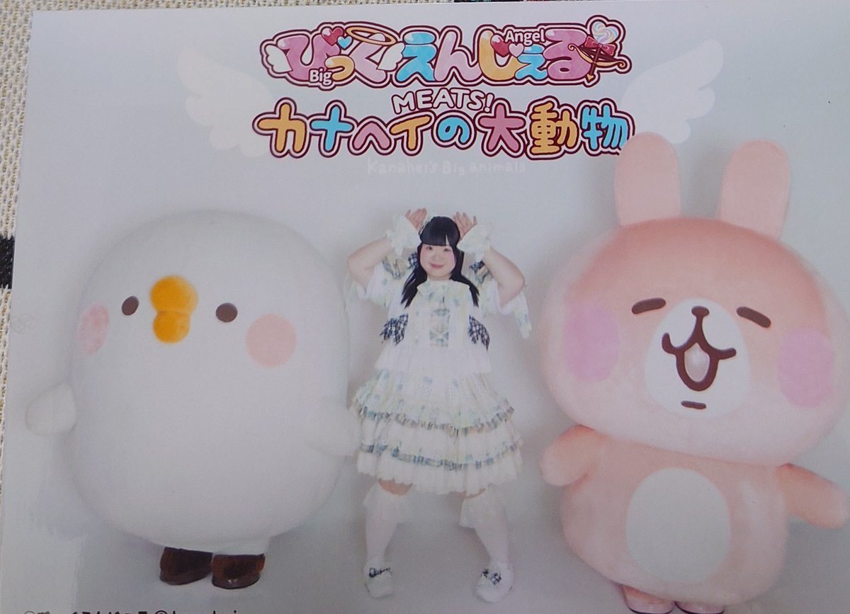 まこたん💛🤎❤️🤍🫧 tweet media