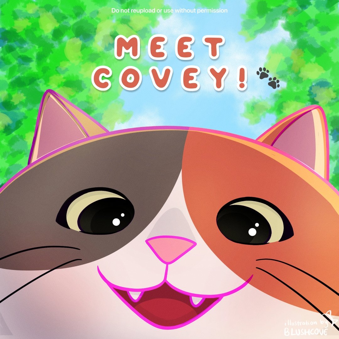 Covey 😼 | Open PO on Pinned tweet media