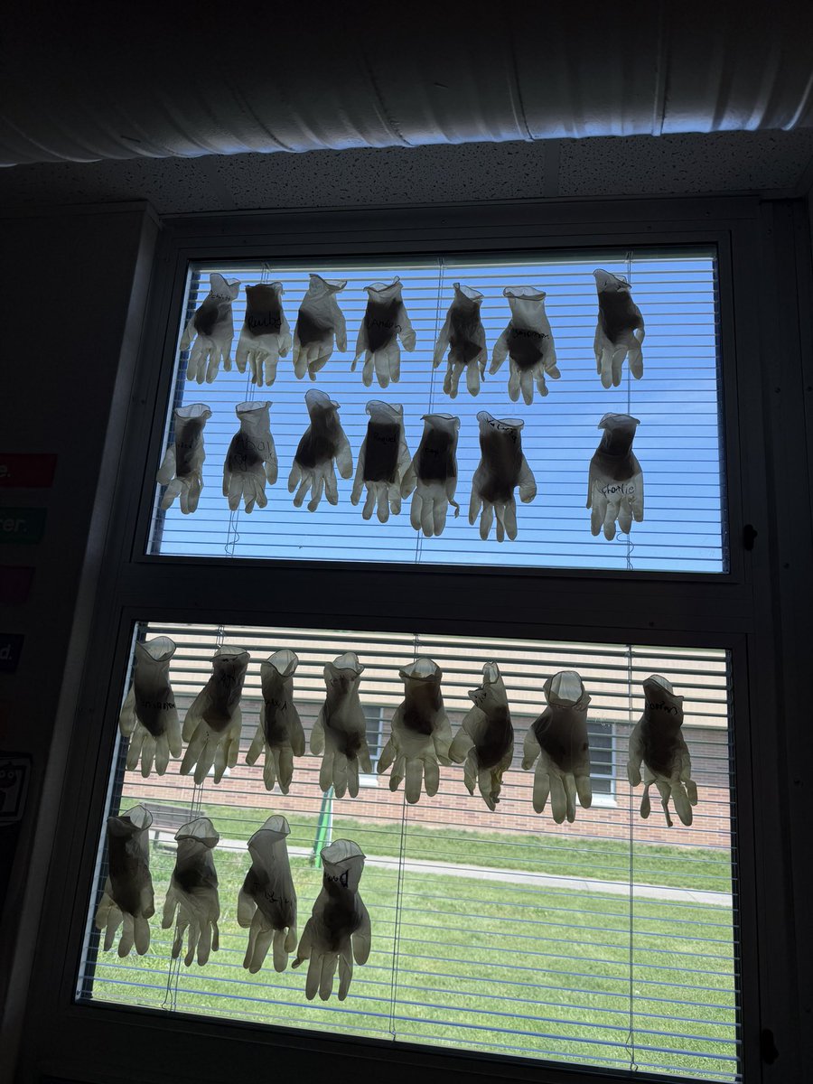 TheMrDeWitt89's tweet image. We got our class garden 🪴 🧤 gloves “planted” today! It’s even self watering! @robeyrockets #wearewayne