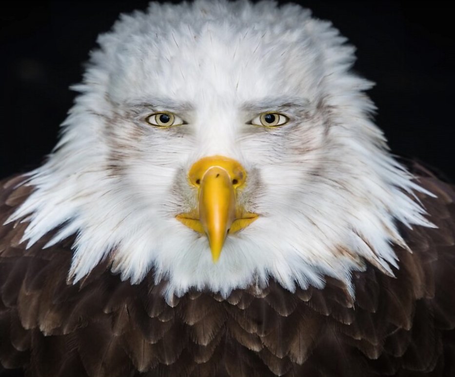 rank0acri's tweet image. "#capitalism...is a #socialist #economy"
the commies have gone insane