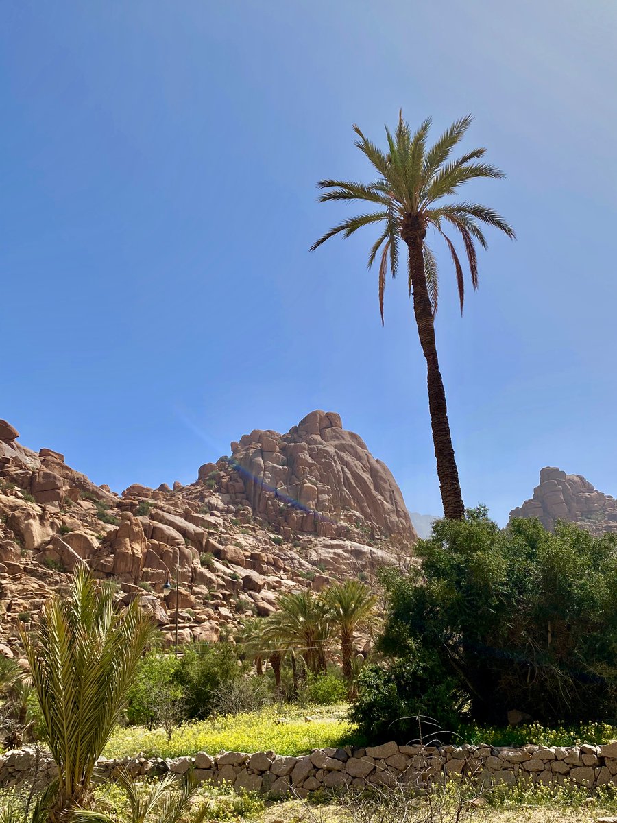 bakrim2000's tweet image. 1/2  Looking back on wonderful trip to 📸🌸🌼
 #tiziane  #walking #morocco