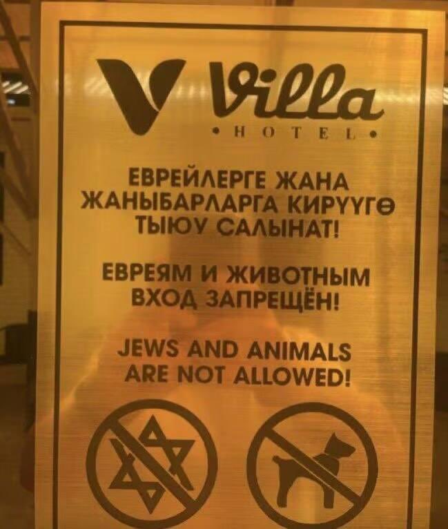 Fatma Ceylan 🇹🇷 🇵🇸 tweet media