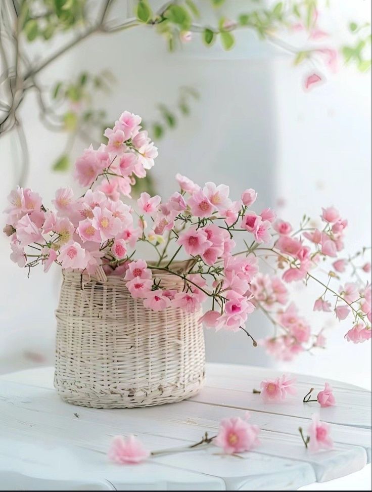 CasaLettori's tweet image. Ho scelto alcune parole che potrete usare se avete piacere di scrivere per @CasaLettori 

Eccole

➡️ #Arte

➡️ #Foto

➡️ #Libri

➡️ #Luoghi

➡️ #Pensieri

➡️ #Versi

Vi prego di aggiungere #CasaLettori per facilitarmi la ricerca

Vi aspetto 

Grazie 💕