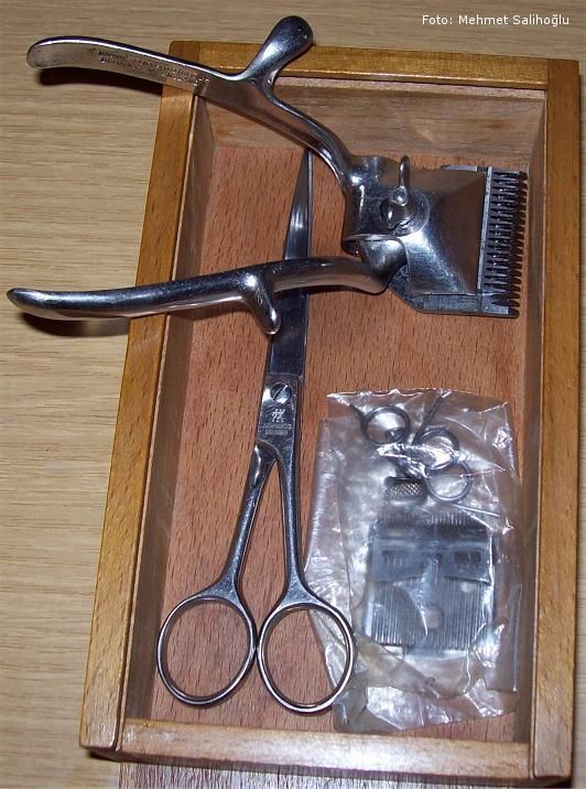 Lily Rosewood tweet media