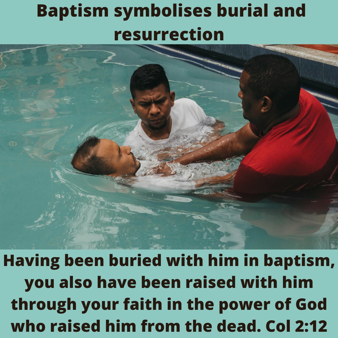 MeditateJw's tweet image. Baptism symbolises burial and resurrection

Having been buried with him in baptism, you also have been raised with him through your faith in the power of God who raised him from the dead. Col 2:12

#jw  #jworg #jwwitnesses #jwlife #bestlifeever #jwmexico, #jwusa