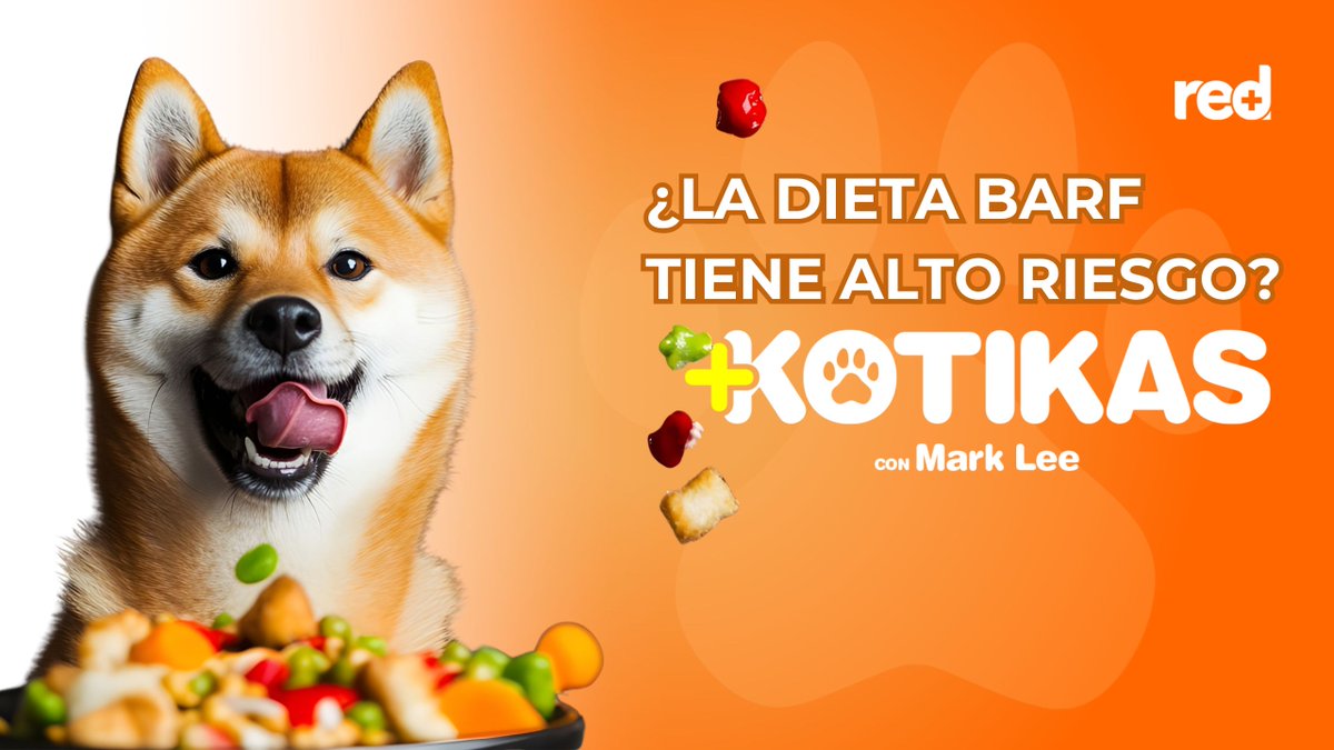 RedMásTV tweet media