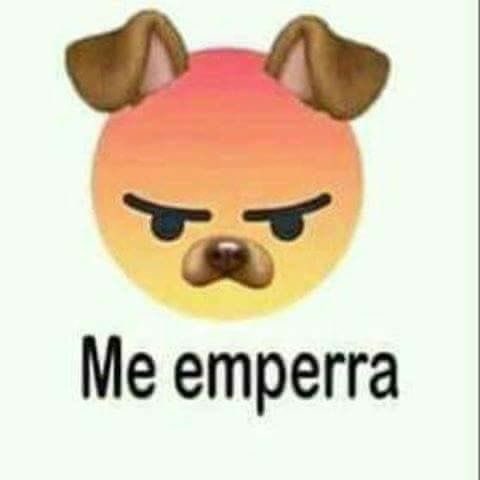 名保美🎴naomi novia d benja tweet media