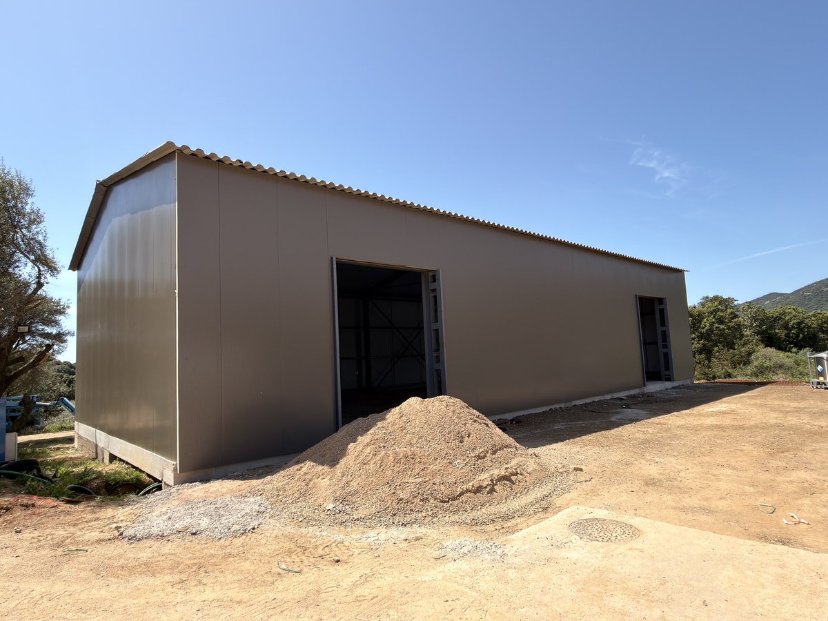 Alex 🏄‍♂️💭 tweet media