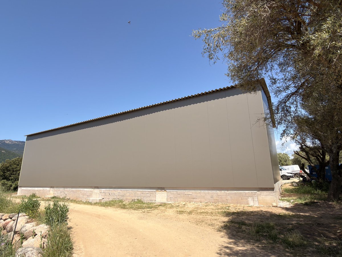 Alex 🏄‍♂️💭 tweet media