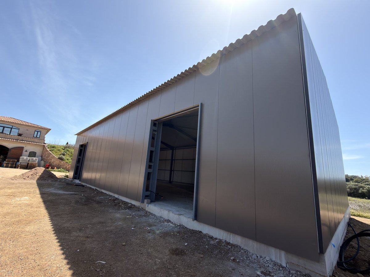 Alex 🏄‍♂️💭 tweet media