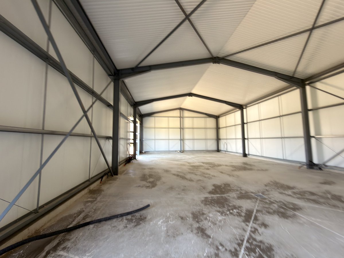 Alex 🏄‍♂️💭 tweet media