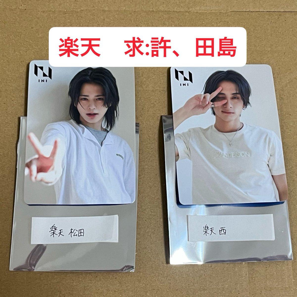 🧸🧸 tweet media