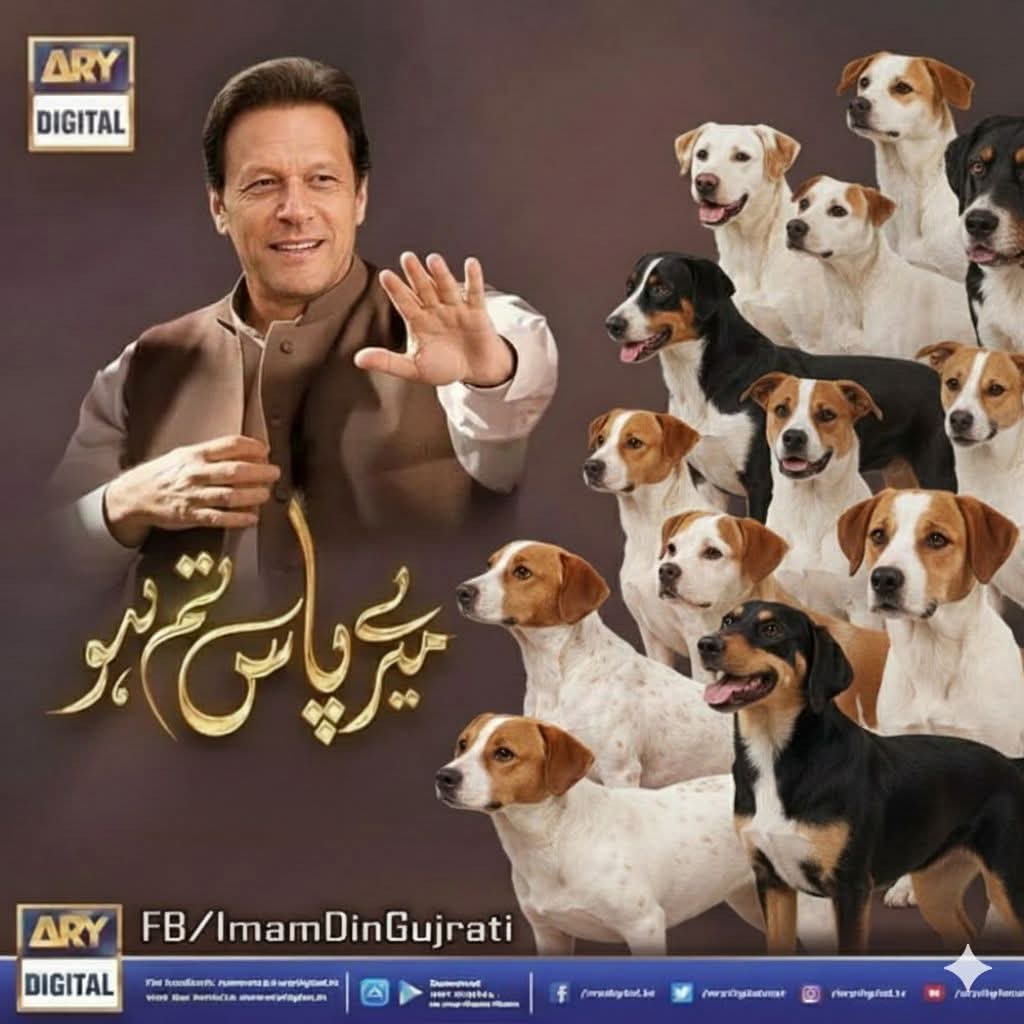 Azeem Butt tweet media